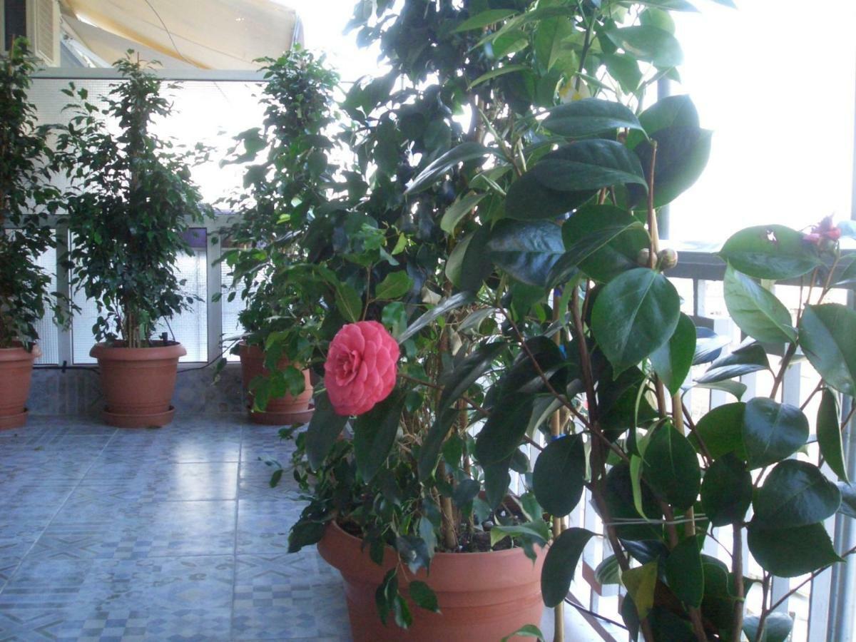 Athens Penthouse Cosy Apartment Dış mekan fotoğraf